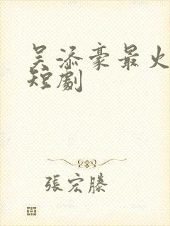 吴添豪最火十部短剧