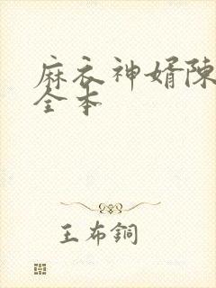 麻衣神婿陈黄皮全本