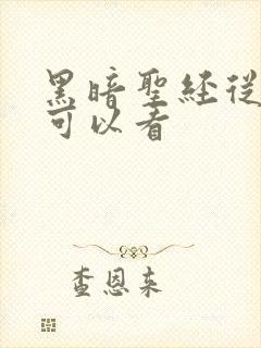 黑暗圣经从哪里可以看