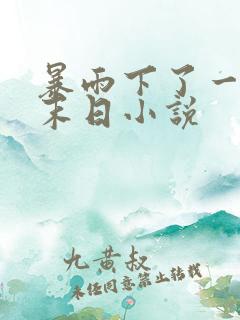 暴雨下了一年的末日小说