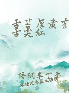 舌苔厚黄有齿痕舌尖红