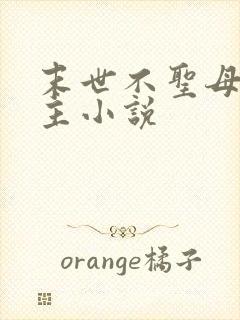 末世不圣母无女主小说