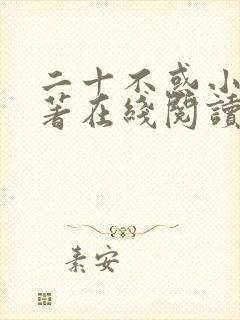 二十不惑小说原著在线阅读