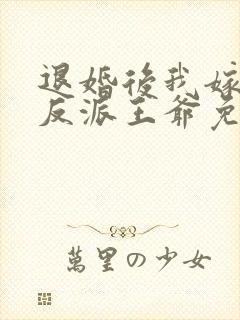 退婚后我嫁给了反派王爷免费阅读