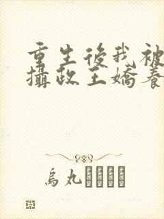 重生后我被反派摄政王娇养了