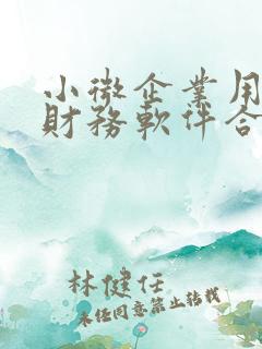 小微企业用什么财务软件合适