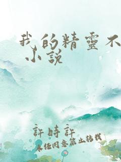 我的精灵不对劲 小说