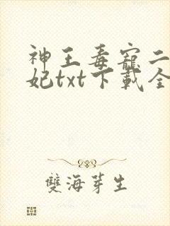 神王毒宠二嫁王妃txt下载全本