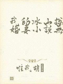 我的冰山总裁未婚妻小说无弹窗