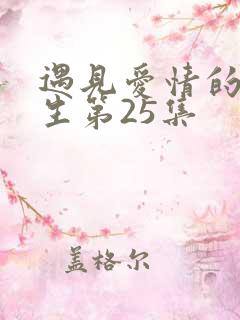 遇见爱情的利先生第25集