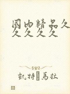 国内精品久久久久久久久