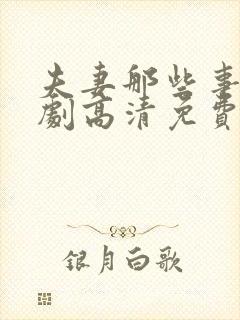 夫妻那些事电视剧高清免费播放