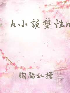 h小说双性np
