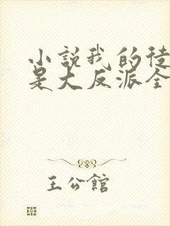 小说我的徒弟都是大反派全文阅