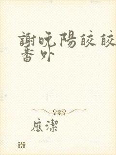 谢晚阳皎皎结局番外