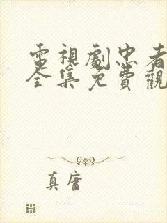 电视剧忠者无敌全集免费观看