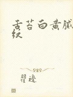 舌苔白黄腻有裂纹