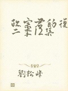 政宗君的复仇第二季12集