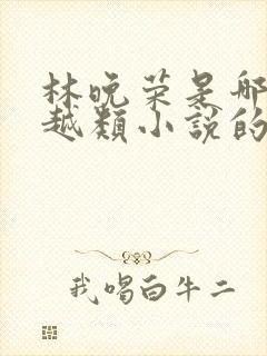 林晚荣是哪部穿越类小说的主人公