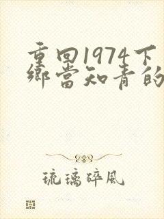 重回1974下乡当知青的小说