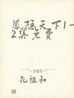 凤隐天下1—42集免费