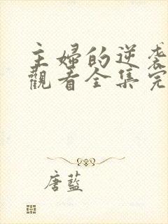 主妇的逆袭免费观看全集完整版