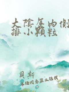 大阴唇内侧长一排小颗粒