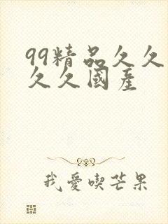 99精品久久久久久国产