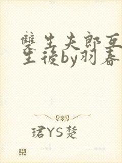 双生夫郎互换人生后by羽春免费阅读