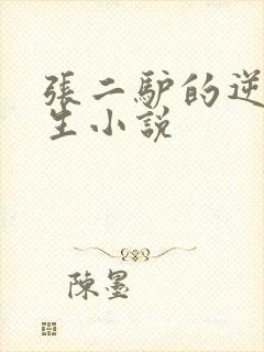 张二驴的逆袭人生小说