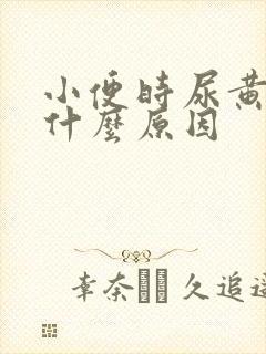 小便时尿黄色是什么原因