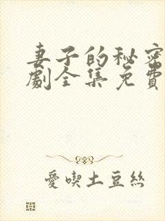 妻子的秘密电视剧全集免费完整版