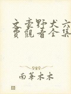 文豪野犬六季免费观看全集