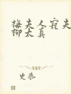 梅夫人宠夫日常柳太真