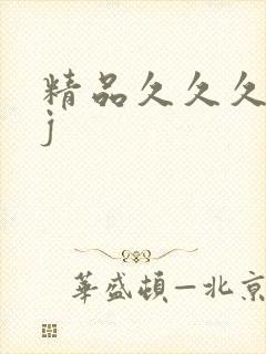 精品久久久久久j