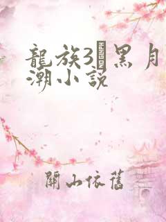龙族3·黑月之潮小说