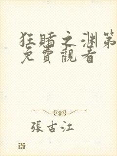 狂赌之渊第二季免费观看