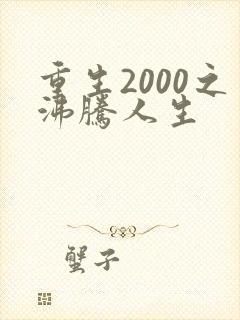 重生2000之沸腾人生