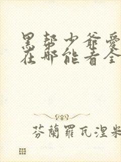 黑帮少爷爱上我在哪能看全剧完