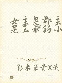 女主是郡主男主是王爷的小说