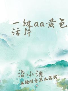 一级aa黄色生活片