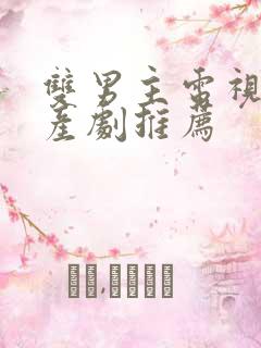 双男主电视剧国产剧推荐