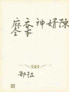 麻衣神婿陈黄皮全本