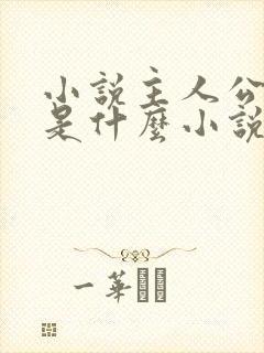 小说主人公叶辰是什么小说名