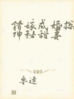 错嫁成婚总裁的神秘甜妻