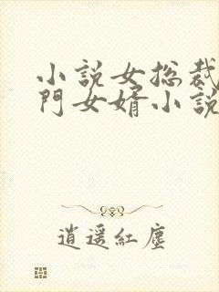 小说女总裁的上门女婿小说