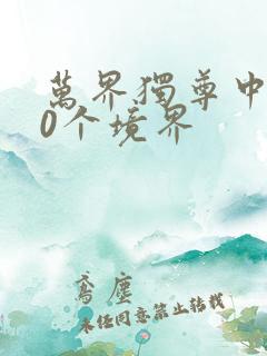 万界独尊中的10个境界