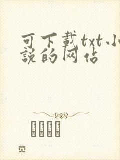 可下载txt小说的网站