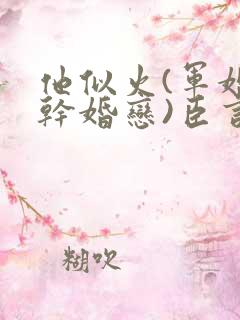 他似火(军婚高干婚恋)臣言