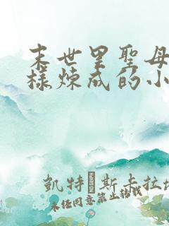 末世里圣母是怎样炼成的小说